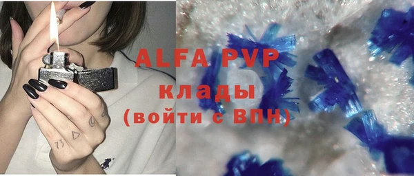 стаф Вязьма