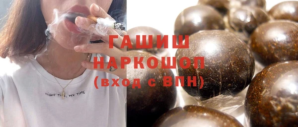 стаф Вязьма