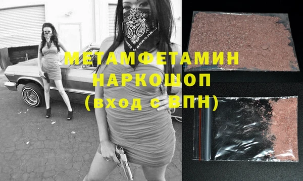 индика Вяземский