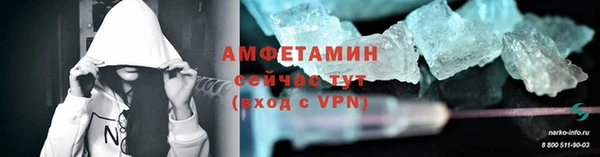стаф Вязьма