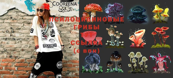 ешки Волоколамск