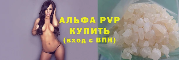 индика Вяземский