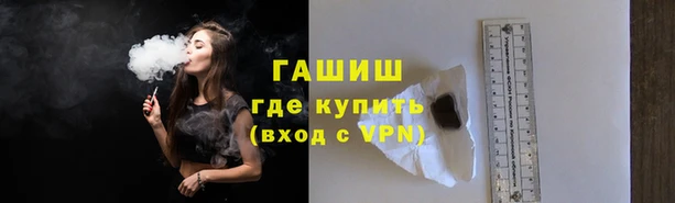 индика Вяземский