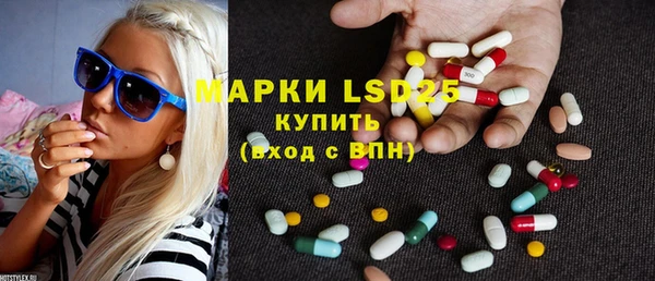 индика Вяземский