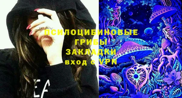 гашик Волосово