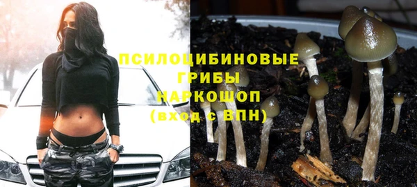 индика Вяземский