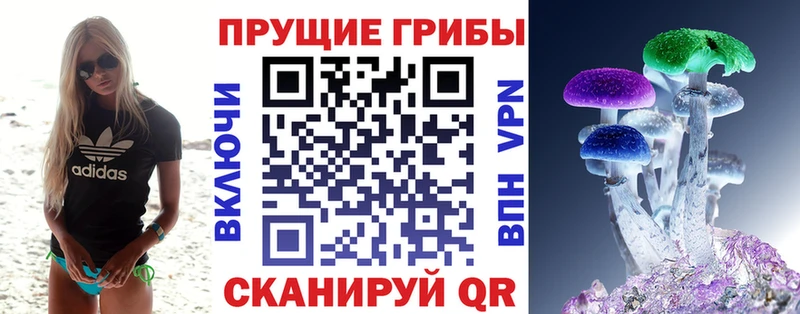 Псилоцибиновые грибы мицелий  цены   Дагестанские Огни 